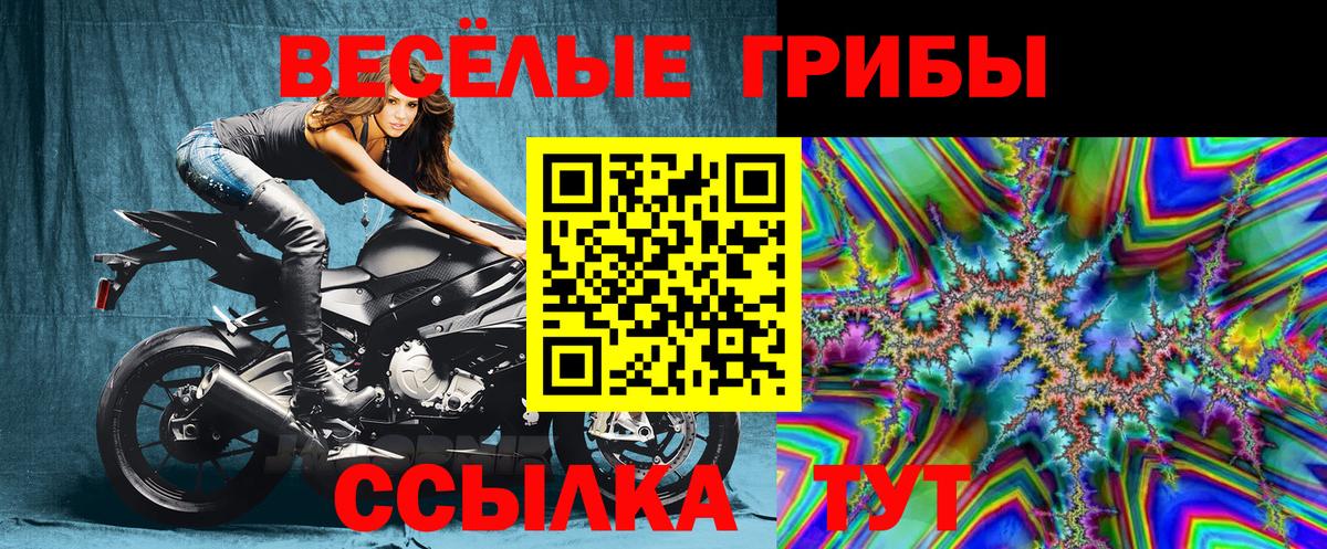Псилоцибиновые грибы Cubensis Новочебоксарск