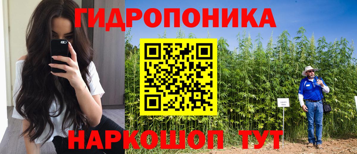 Бошки марихуана Amnesia Новочебоксарск